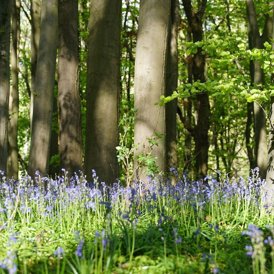 Biodiversiteit op de brouwerij, bij Heineken in Zoeterwoude