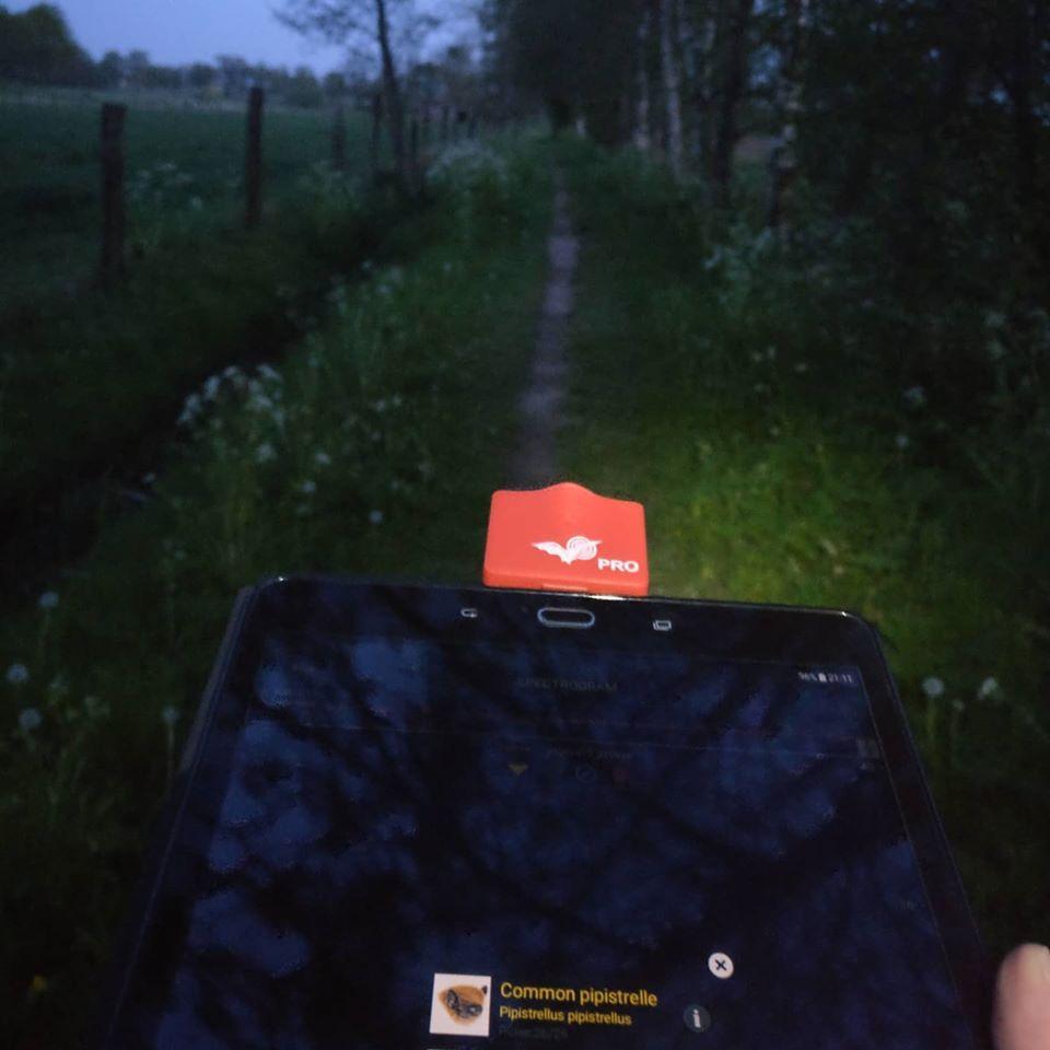 Vleermuizen onderzoek met een batdetector Vleermuizen onderzoek met de juiste technische apparatuur
